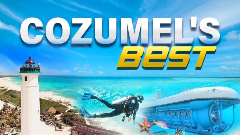 Local Picks Cozumel’s Best Must-Do  Activities